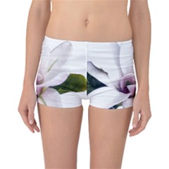 Magnolia Wit Aquarel Painting Art Boyleg Bikini Bottoms by picsaspassion