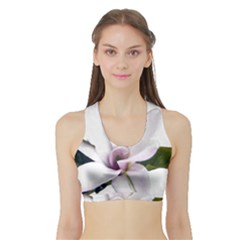 Magnolia Wit Aquarel Painting Art Sports Bra With Border by picsaspassion