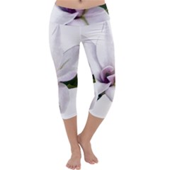 Magnolia Wit Aquarel Painting Art Capri Yoga Leggings by picsaspassion