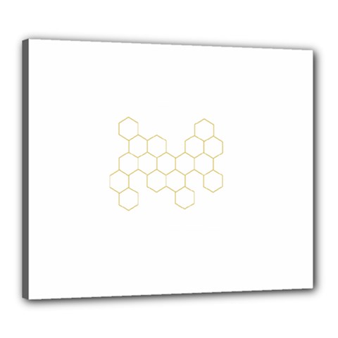 Honeycomb Pattern Graphic Design Canvas 24  X 20  (stretched)