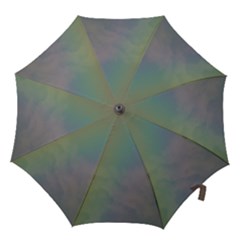 Between The Rainbow Hook Handle Umbrellas (large)