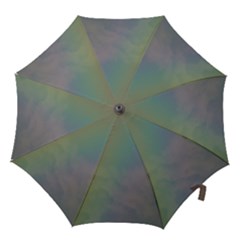 Between The Rainbow Hook Handle Umbrellas (small)