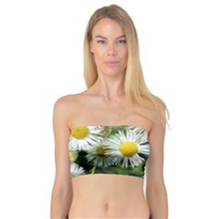 White Summer Flowers, Watercolor Painting Bandeau Top