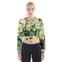 White Summer Flowers, Watercolor Painting Women s Cropped Sweatshirt