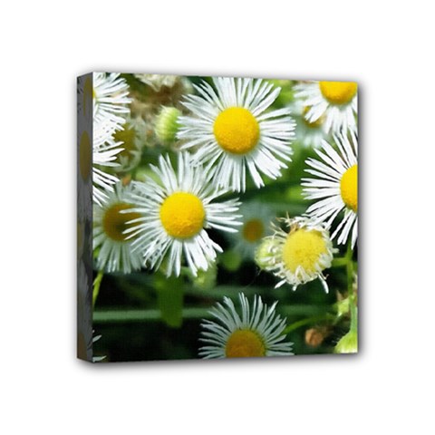 White Summer Flowers Oil Painting Art Mini Canvas 4  X 4 