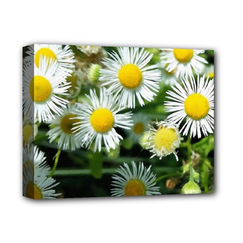 White Summer Flowers Oil Painting Art Deluxe Canvas 14  X 11 