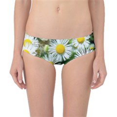 White Summer Flowers Oil Painting Art Classic Bikini Bottoms