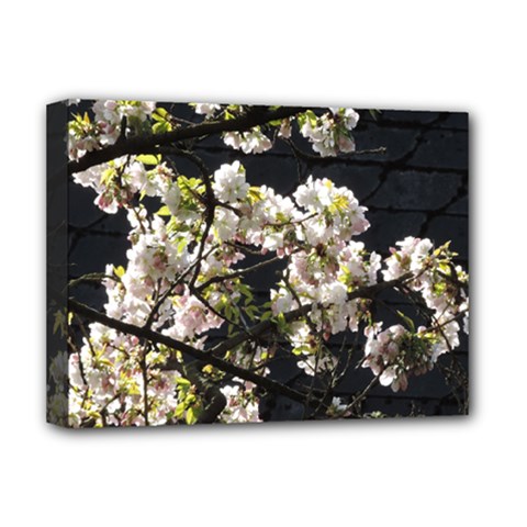 Japanese Cherry Blossom Deluxe Canvas 16  X 12  