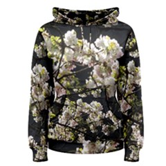 Japanese Cherry Blossom Women s Pullover Hoodie by picsaspassion