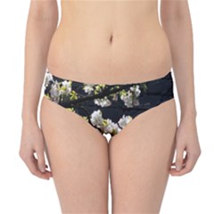 Japanese Cherry Blossom Hipster Bikini Bottoms