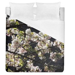 Japanese Cherry Blossom Duvet Cover Single Side (queen Size) by picsaspassion