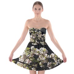 Japanese Cherry Blossom Strapless Bra Top Dress