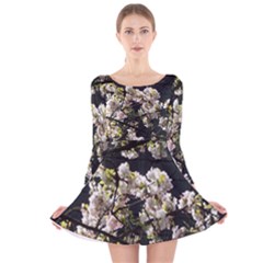 Japanese Cherry Blossom Long Sleeve Velvet Skater Dress