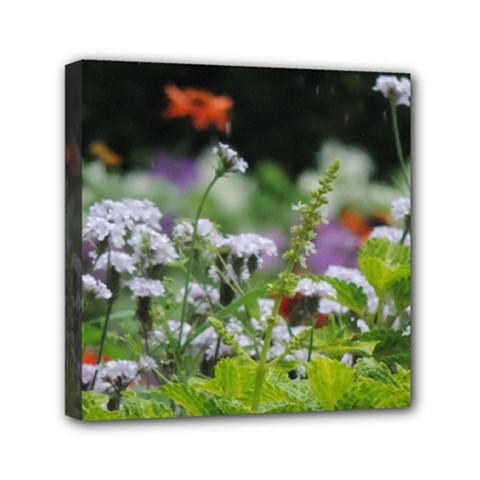 Wild Flowers Mini Canvas 6  X 6 