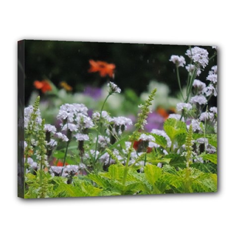 Wild Flowers Canvas 16  X 12 