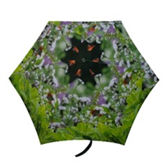 Wild Flowers Mini Folding Umbrellas