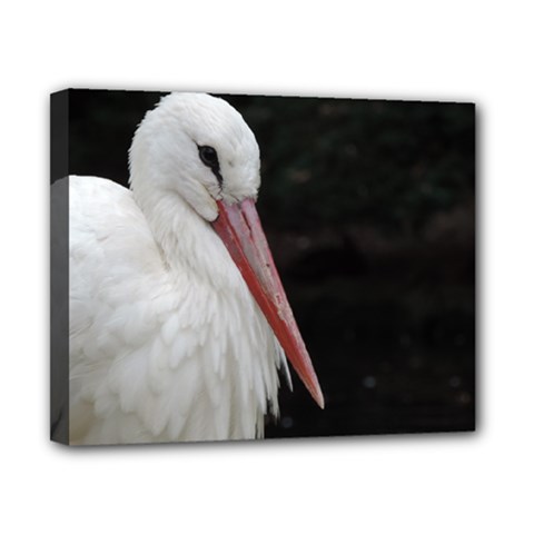 Stork Bird Canvas 10  X 8 