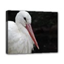 Stork bird Canvas 10  x 8  View1