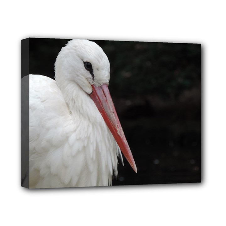 Stork bird Canvas 10  x 8 