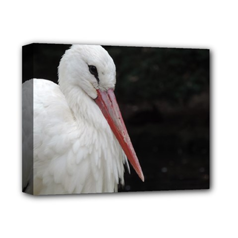 Stork Bird Deluxe Canvas 14  X 11 