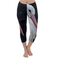 Stork Bird Capri Winter Leggings 