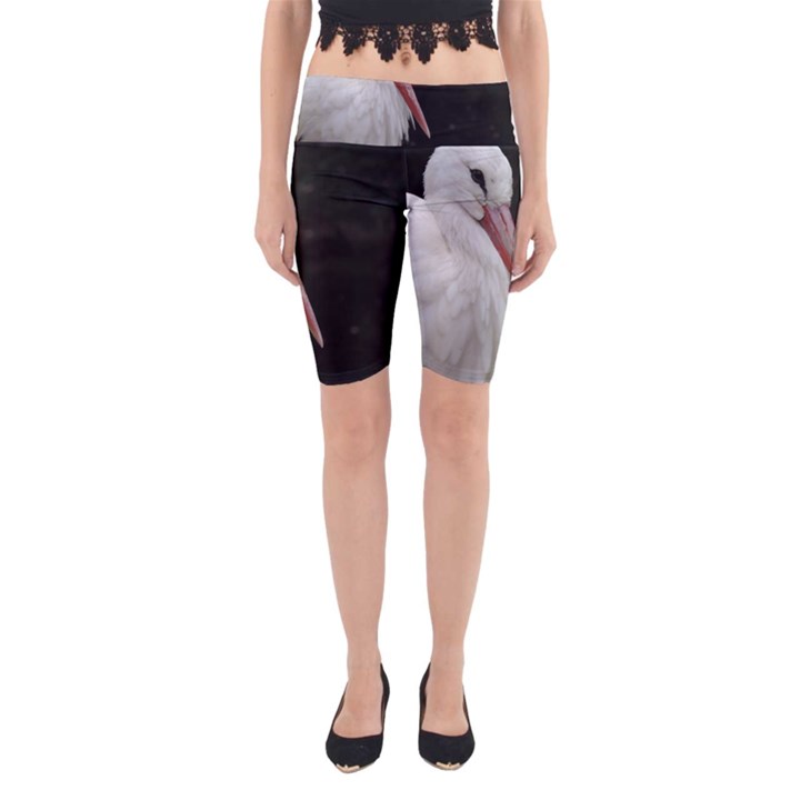 Stork bird Yoga Cropped Leggings