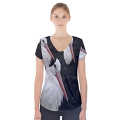 Stork Bird Short Sleeve Front Detail Top