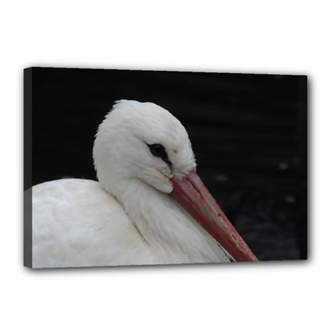 Wild Stork Bird Canvas 18  X 12 