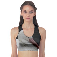 Wild Stork Bird Sports Bra