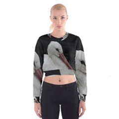 Wild Stork Bird Women s Cropped Sweatshirt by picsaspassion