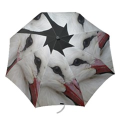 Wild Stork Bird, Close-up Folding Umbrellas by picsaspassion