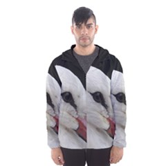 Wild Stork Bird, Close-up Hooded Wind Breaker (men) by picsaspassion