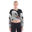 Wild Stork bird, close-up Women s Cropped Sweatshirt View1