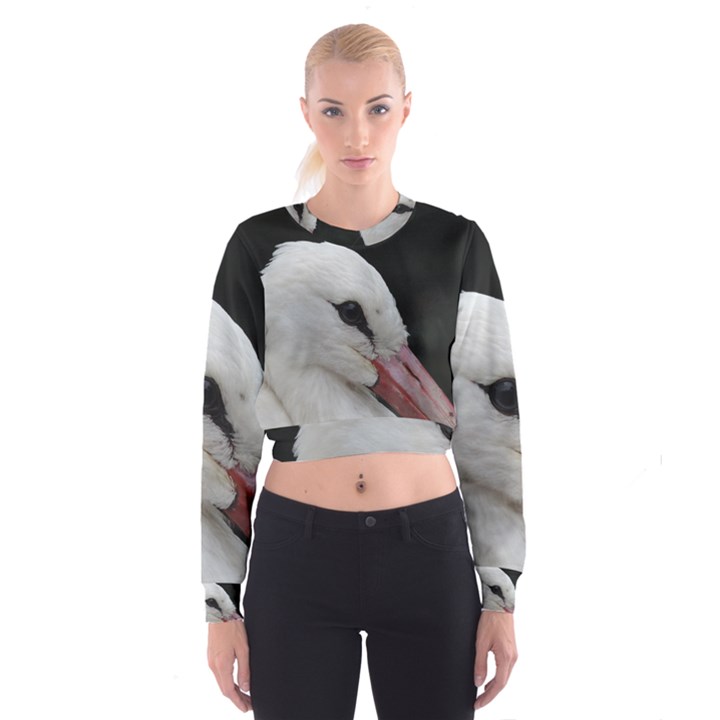 Wild Stork bird, close-up Women s Cropped Sweatshirt