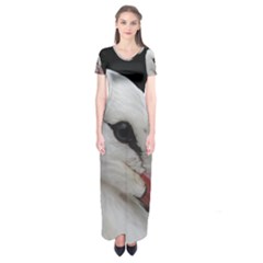 Wild Stork Bird, Close-up Short Sleeve Maxi Dress