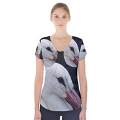 Wild Stork Bird, Close-up Short Sleeve Front Detail Top