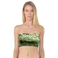 White Summer Flowers Bandeau Top