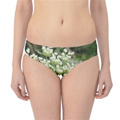 White Summer Flowers Hipster Bikini Bottoms