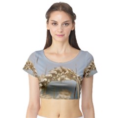 Cornfield Short Sleeve Crop Top (tight Fit)