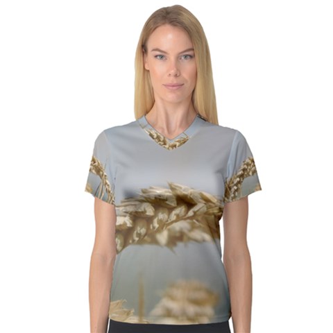 Cornfield Women s V-neck Sport Mesh Tee by picsaspassion