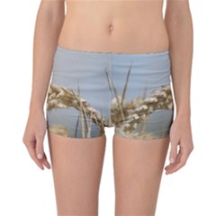 Cornfield Reversible Boyleg Bikini Bottoms by picsaspassion