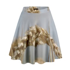 Cornfield High Waist Skirt