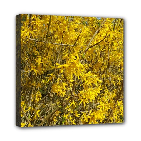 Nature, Yellow Orange Tree Photography Mini Canvas 8  X 8  by yoursparklingshop