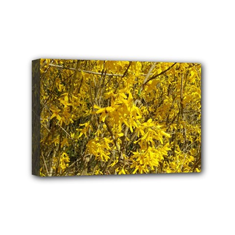 Nature, Yellow Orange Tree Photography Mini Canvas 6  X 4  by yoursparklingshop