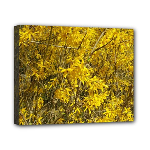 Nature, Yellow Orange Tree Photography Canvas 10  X 8  by yoursparklingshop