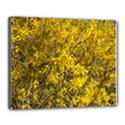 Nature, Yellow Orange Tree Photography Canvas 20  x 16  View1