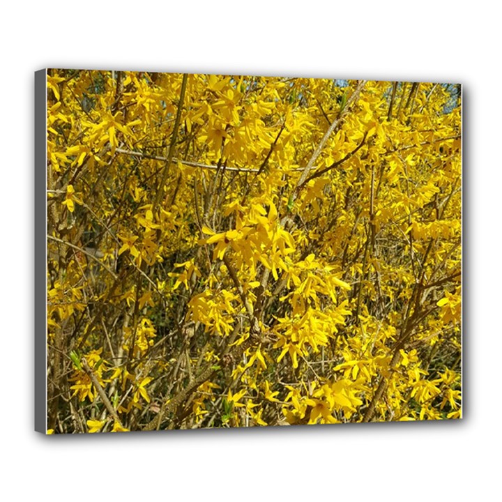 Nature, Yellow Orange Tree Photography Canvas 20  x 16 