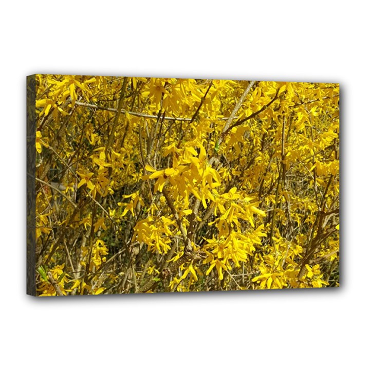 Nature, Yellow Orange Tree Photography Canvas 18  x 12 