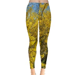 Nature, Yellow Orange Tree Photography Leggings  by yoursparklingshop