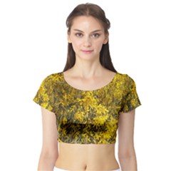 Nature, Yellow Orange Tree Photography Short Sleeve Crop Top (tight Fit) by yoursparklingshop